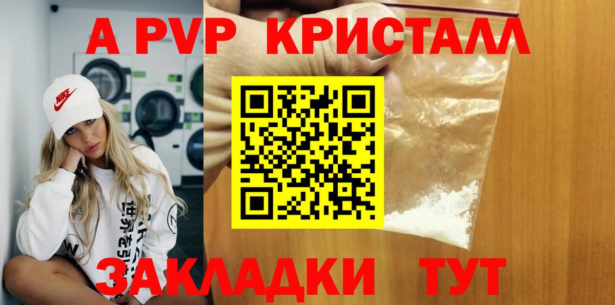 Alfa_PVP СК Урус-Мартан
